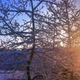Image for article titled Snow and Sun